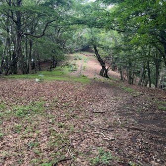 気持ちいい防火帯