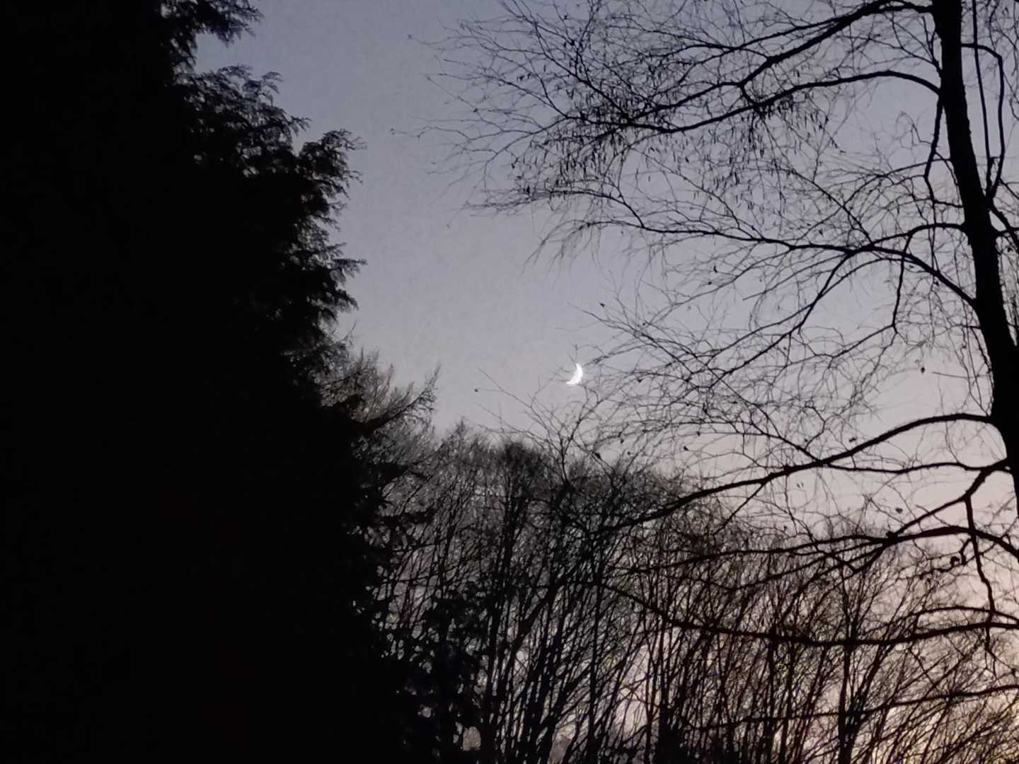 月🌛が現れてきました😅
ヘッデンはあるけど、月明かりのみで進みます🏃