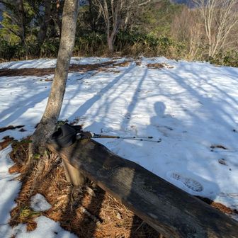 まあでも、ここの山は基本楽だ