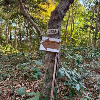 いつの間にか、最初のピークの羽白山。
