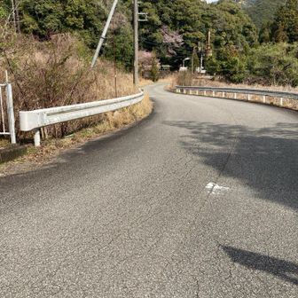 こんな道