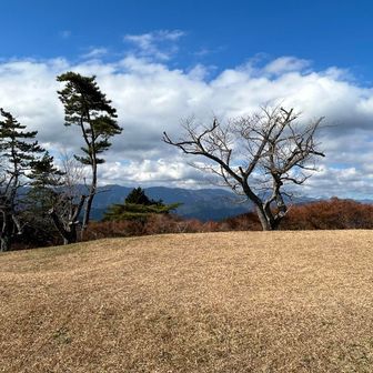 南アルプス方面。