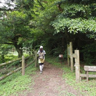 田代原トレイルセンター駐車場からスタート⭐️
登山者は少なめで🚙２台しか停まってないwいつもはもっと賑わってるんだけど‥皆様くじゅうに行ってるの？
トレイルセンターのトイレは早朝なのであいておらず、外のトイレはボットンですが綺麗だった🚽