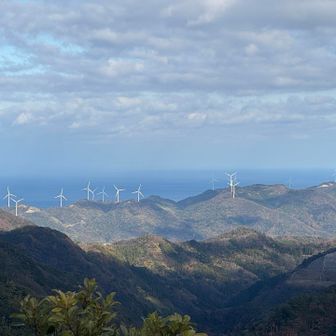 今日は風が強い
