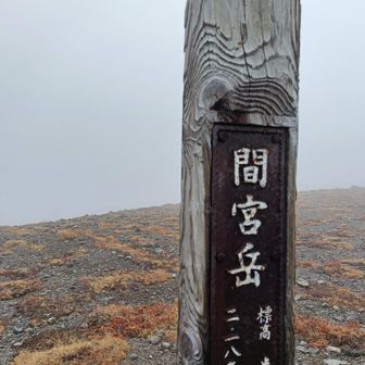 間宮岳5️⃣