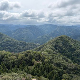 これです！
スゴイよー絶景でした✨✨