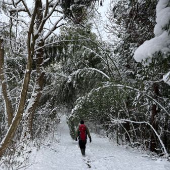 🦖の頭❄️に直撃⛄️
🦖「子供かっ」😒

おーい😗無視🦗かい😑