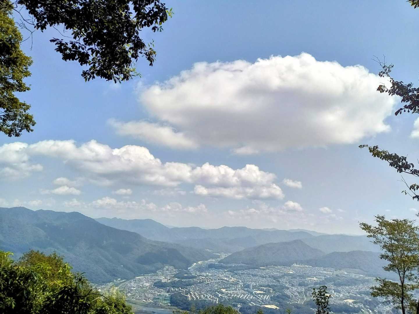 風が気持ち良い~💕
木々が揺れると、上からドングリが落ちてきて
びっくらこいた😳