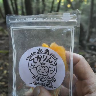 行動食に持ってきた光岳小屋産『てかりんご』
あっという間に無くなってしまった😋