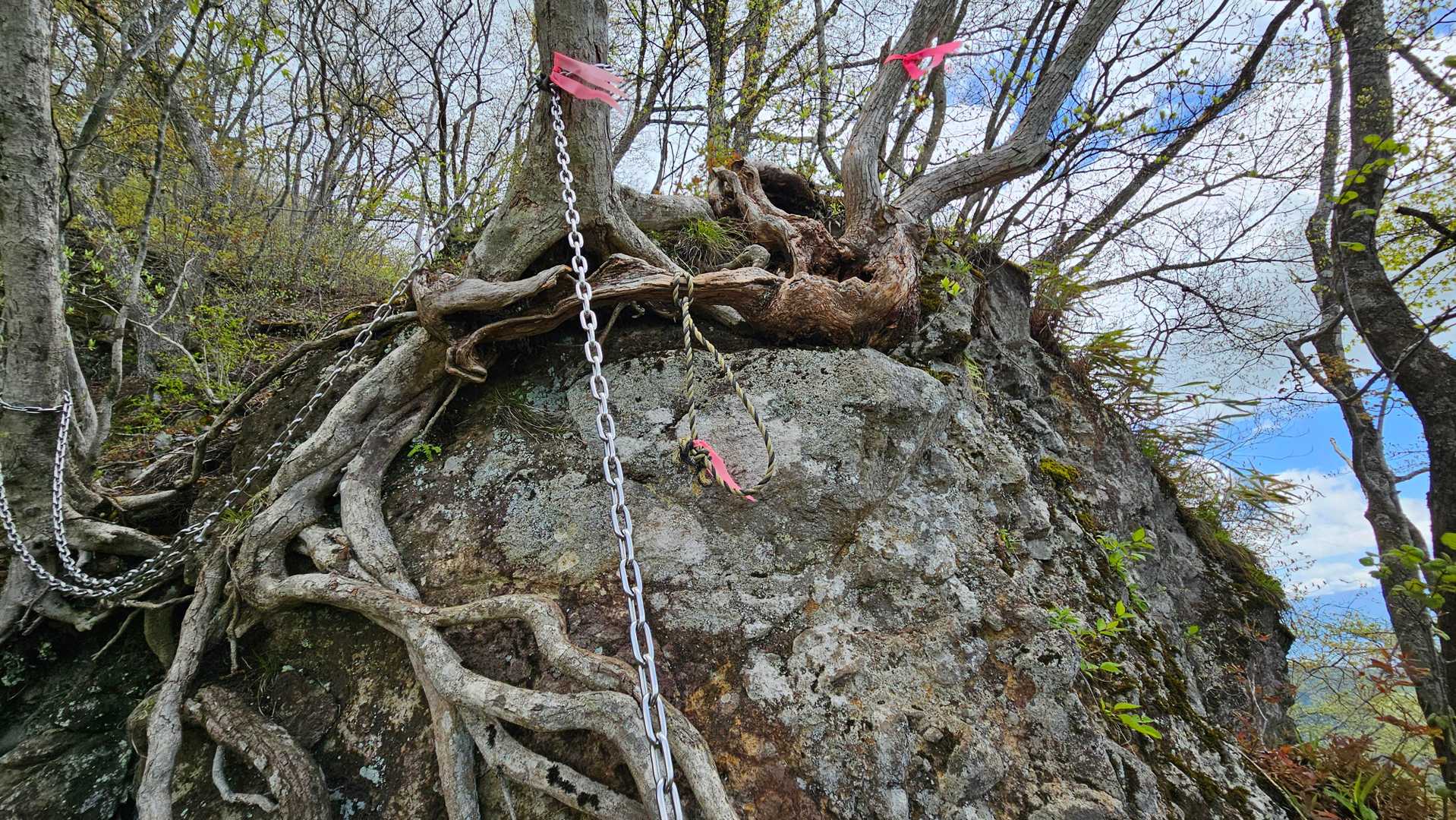 三番目途中の岩登り
ロープに足をかけて
木の間を抜ける
