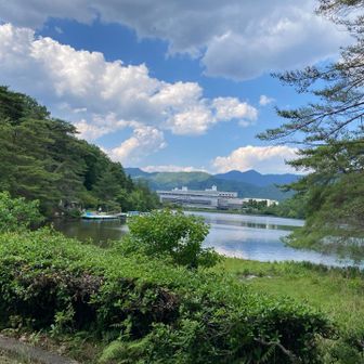 宝ヶ池に戻ってきた
