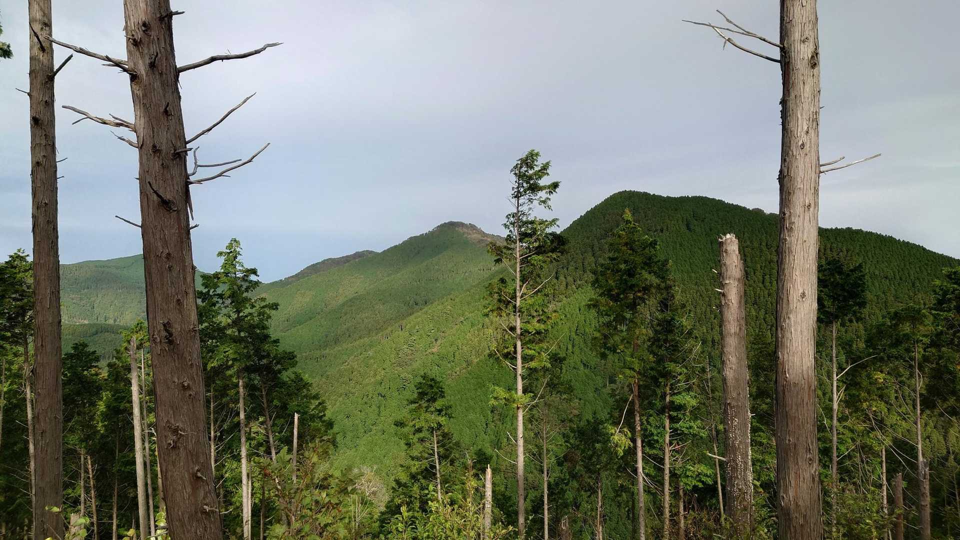 まだいけてない青滝山。
黒森峠から行こっかな🙄