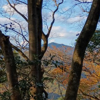山頂　眺望🍁奥に東鳳翩山