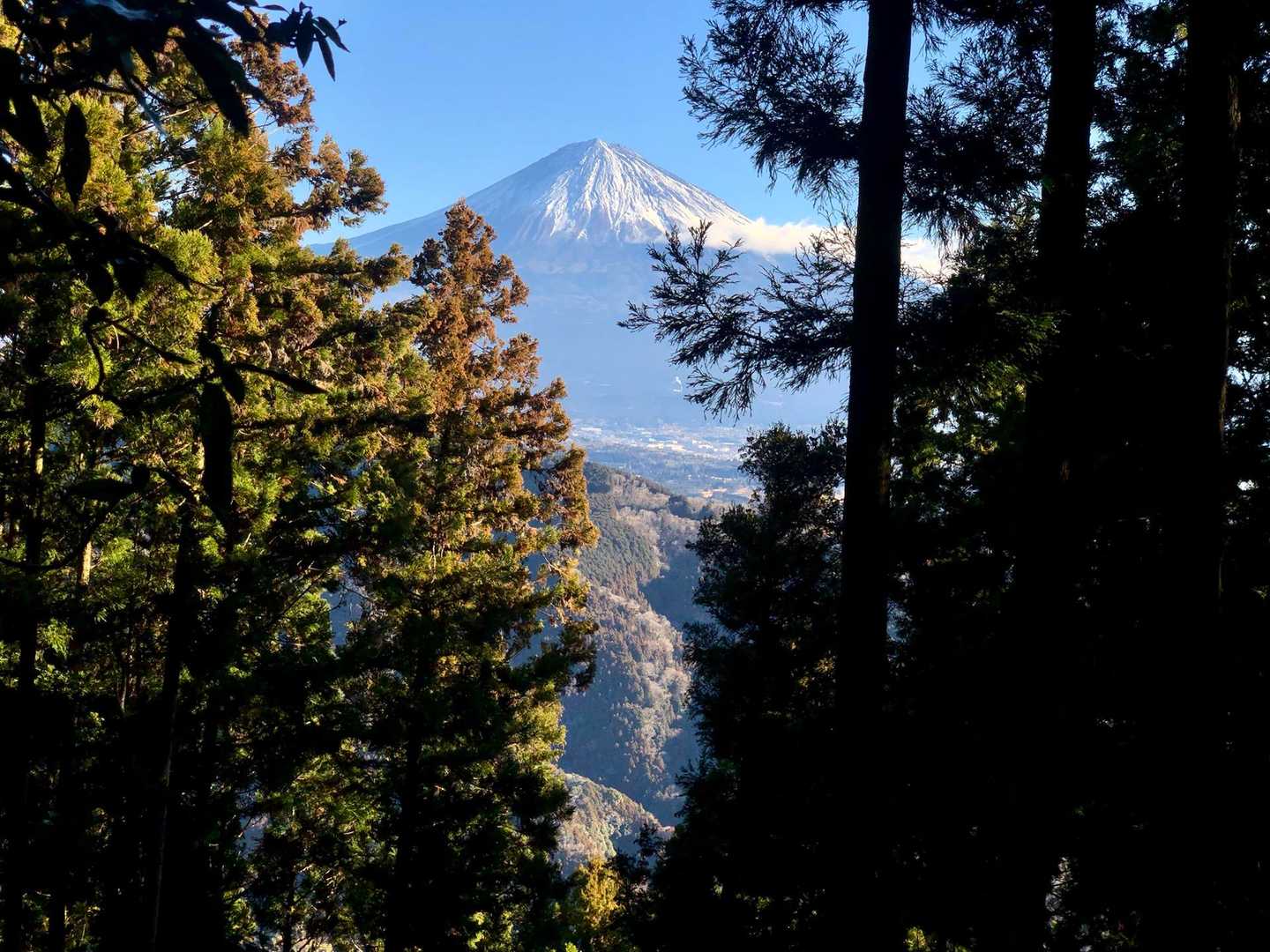 白鳥山 往復コースの写真