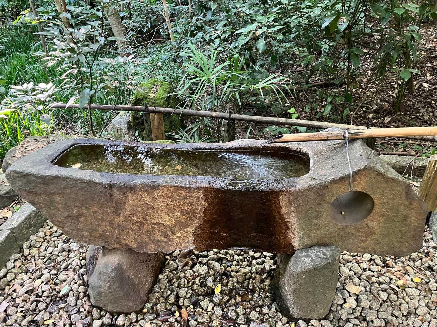 戻ってきました。