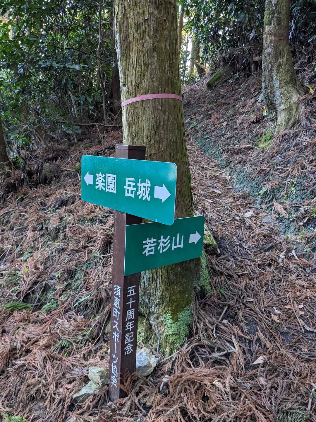 "楽園"
どんな楽しい場所なのか？気になる🤔

このあとしばらく、イエモンの歌♫が頭の中に流れる😉