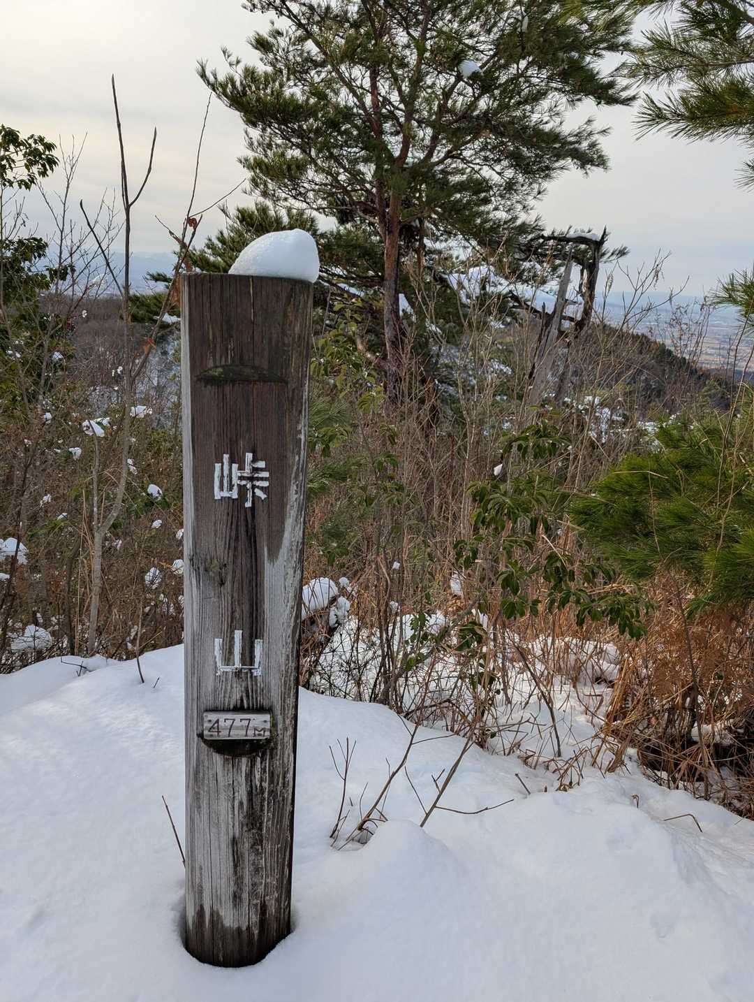 城ヶ平山-峠山-城ヶ平山登山口-城ヶ平山大岩側登山口 縦走コースの写真