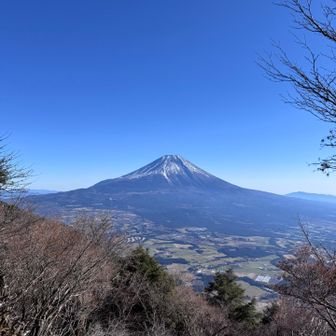 やっと山頂