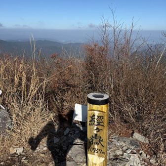 自分の影で遊んでます