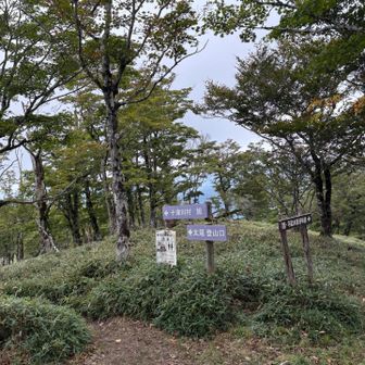 4日目千丈平テント泊予定場所。
