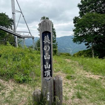 美の山ヽ(´▽｀)/
YAMAP開始前に来たきりだった〜😆💦