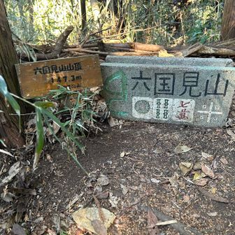 六国見山のピーク。