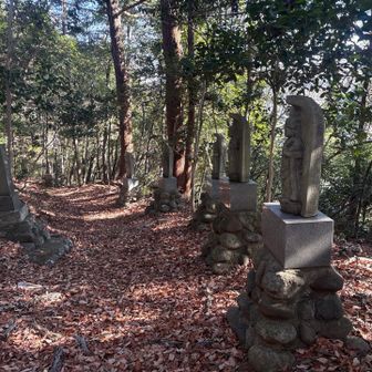 観音さまが両側にたくさん😳
全部で32体あるそうです。