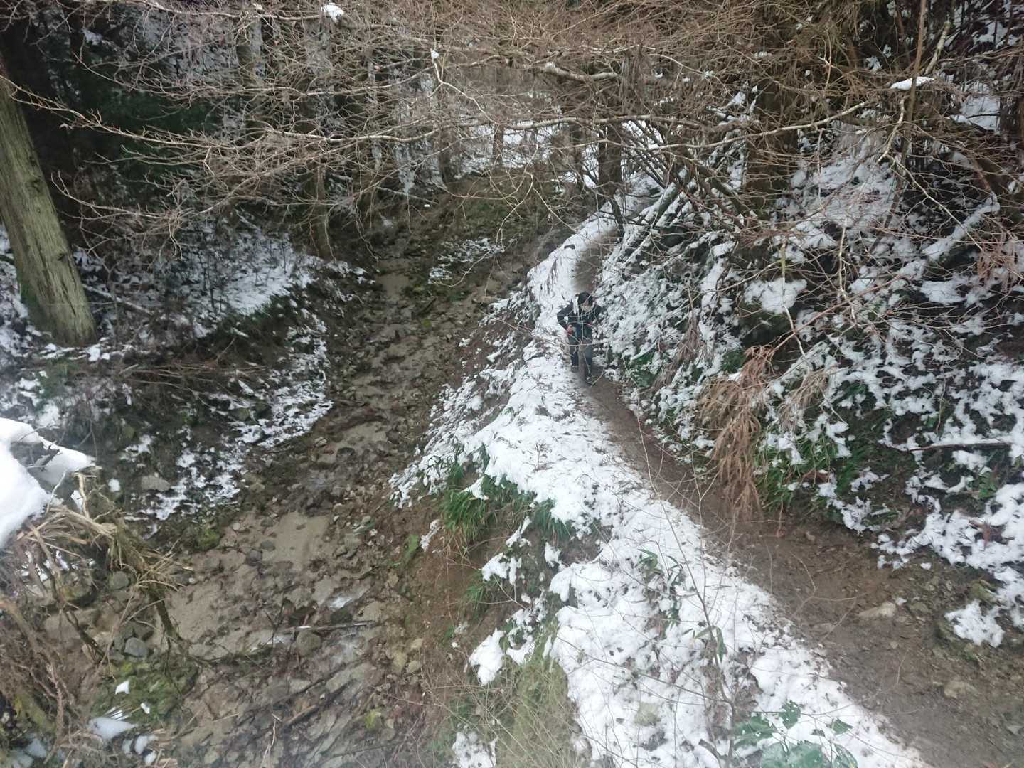 登って行きます