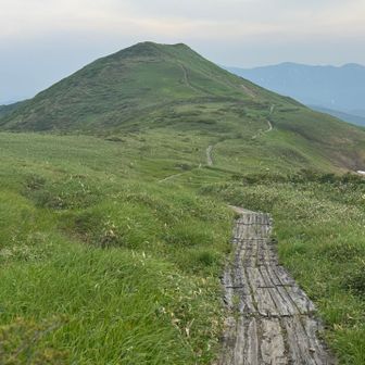 気持ちの良いトレイルを進む。