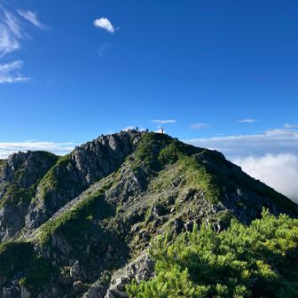 水晶岳山頂