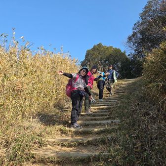上の横道を歩き、最後はやっぱり福山名物1234直登階段を途中から味わってもらいました。ベテランの皆さんですが、心臓がほんの少しバクバクしたそうです🫀

でも天空への階段=ビクトリーロードを楽しく登られてますね‼️
次はゼロ段から登ってみましょう🧗