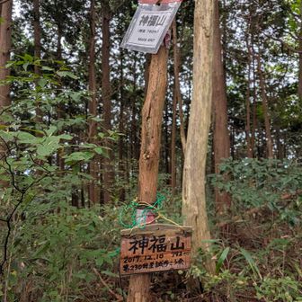 神福山