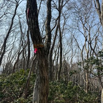 三人山山頂は眺望なし