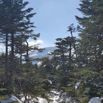 森林限界がちかくなり、硫黄岳が見えてきた！