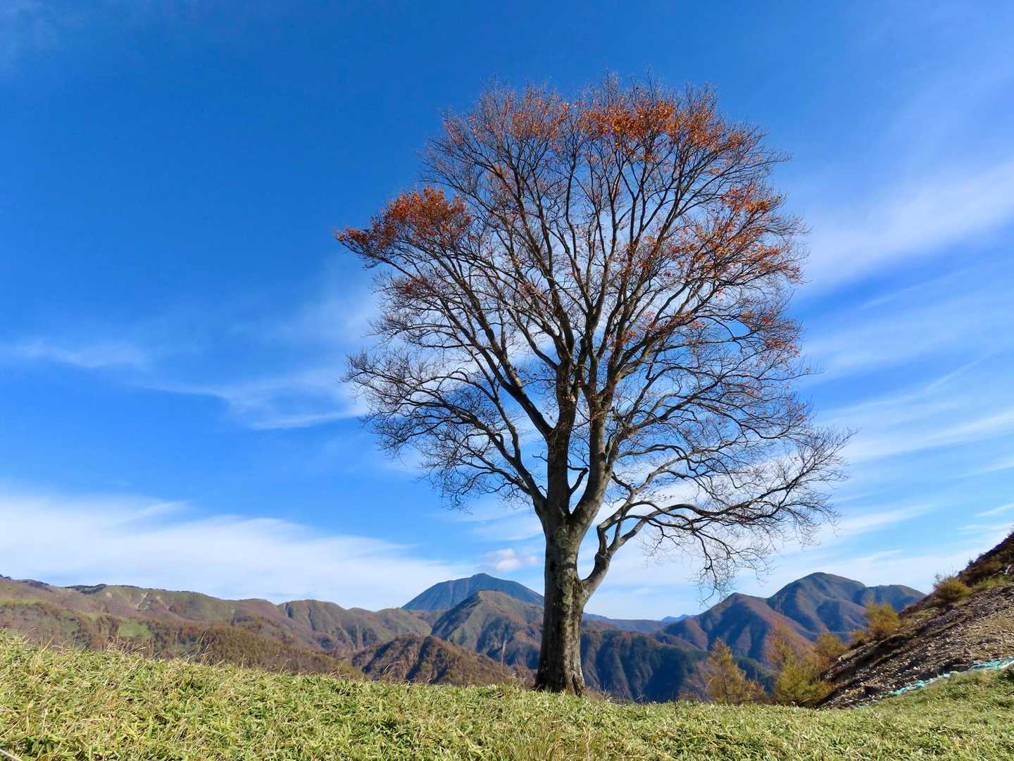 男体山と一緒に📸