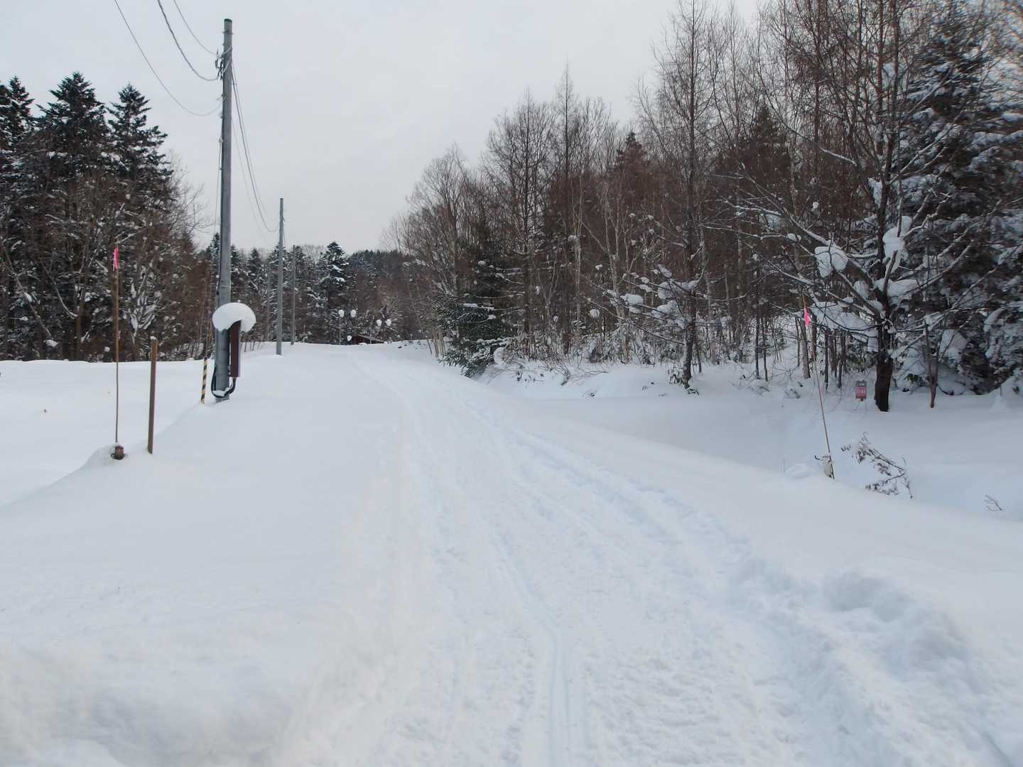 トレースバッチリ