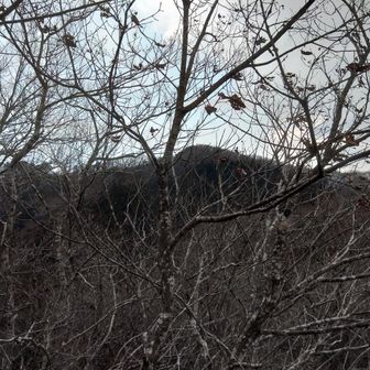 先ほど通過した珊瑚岳です｡