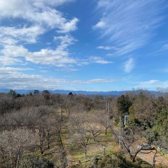 展望台からの眺め