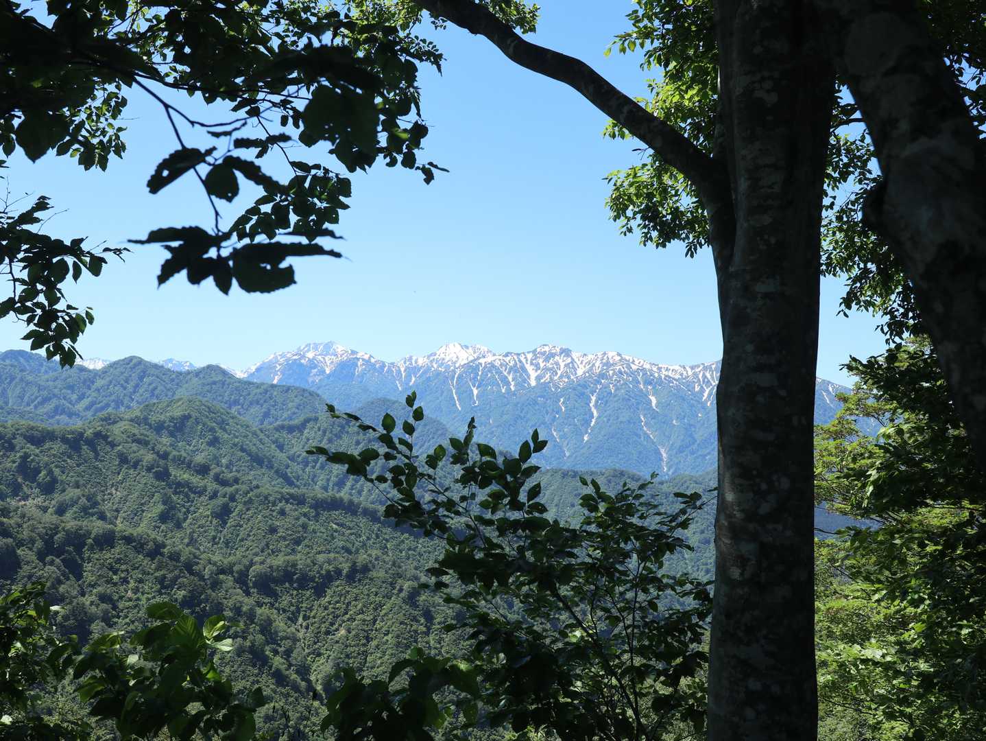 負釣山 往復コースの写真