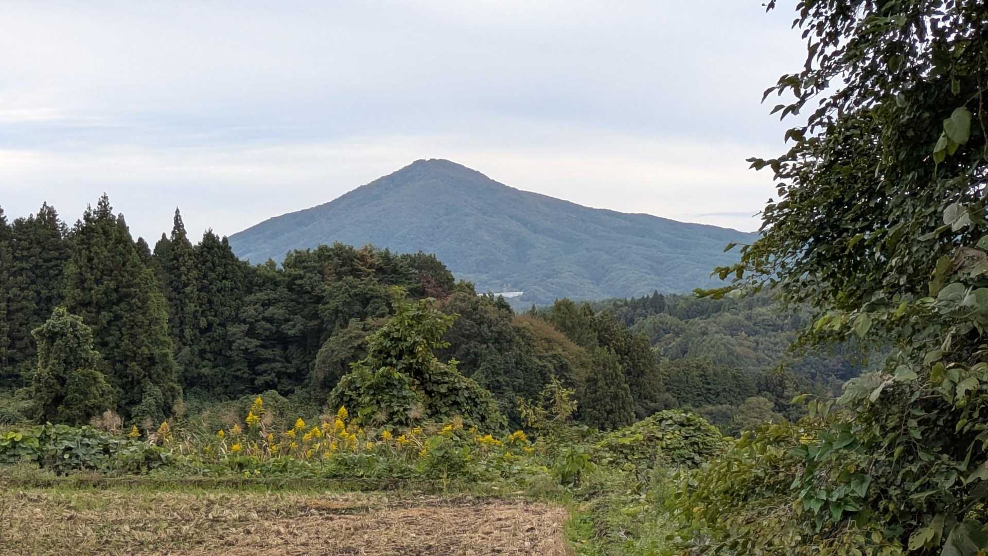 蓬田岳