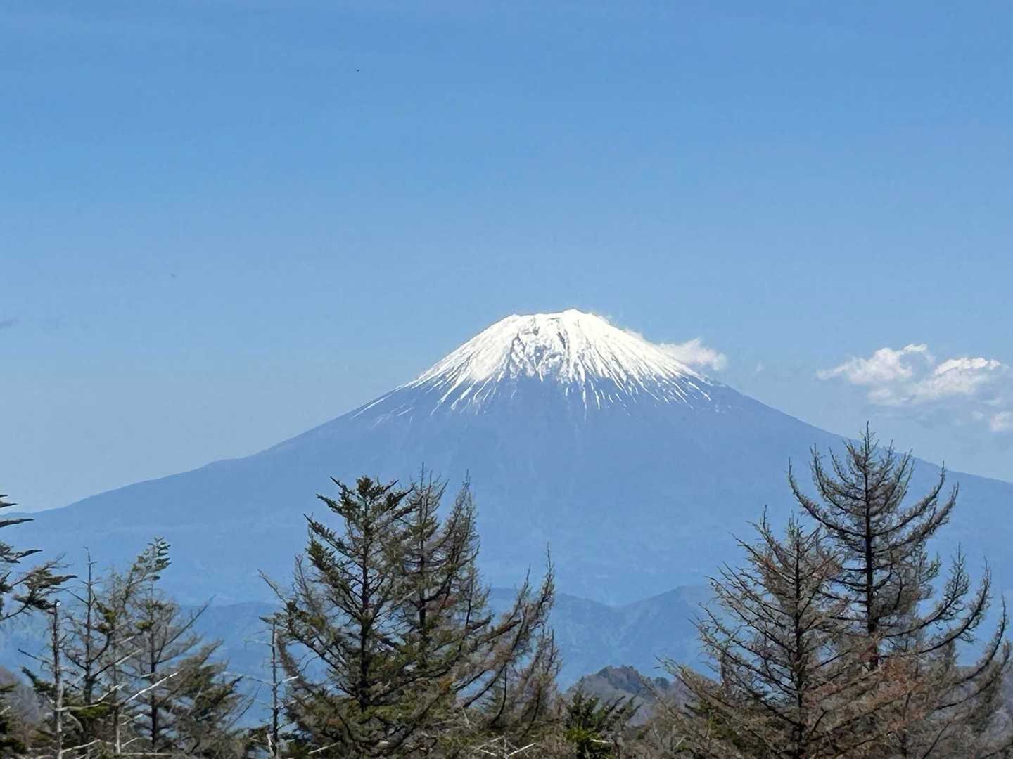 百畳峠-山伏-大笹峠-小河内山 往復コースの写真