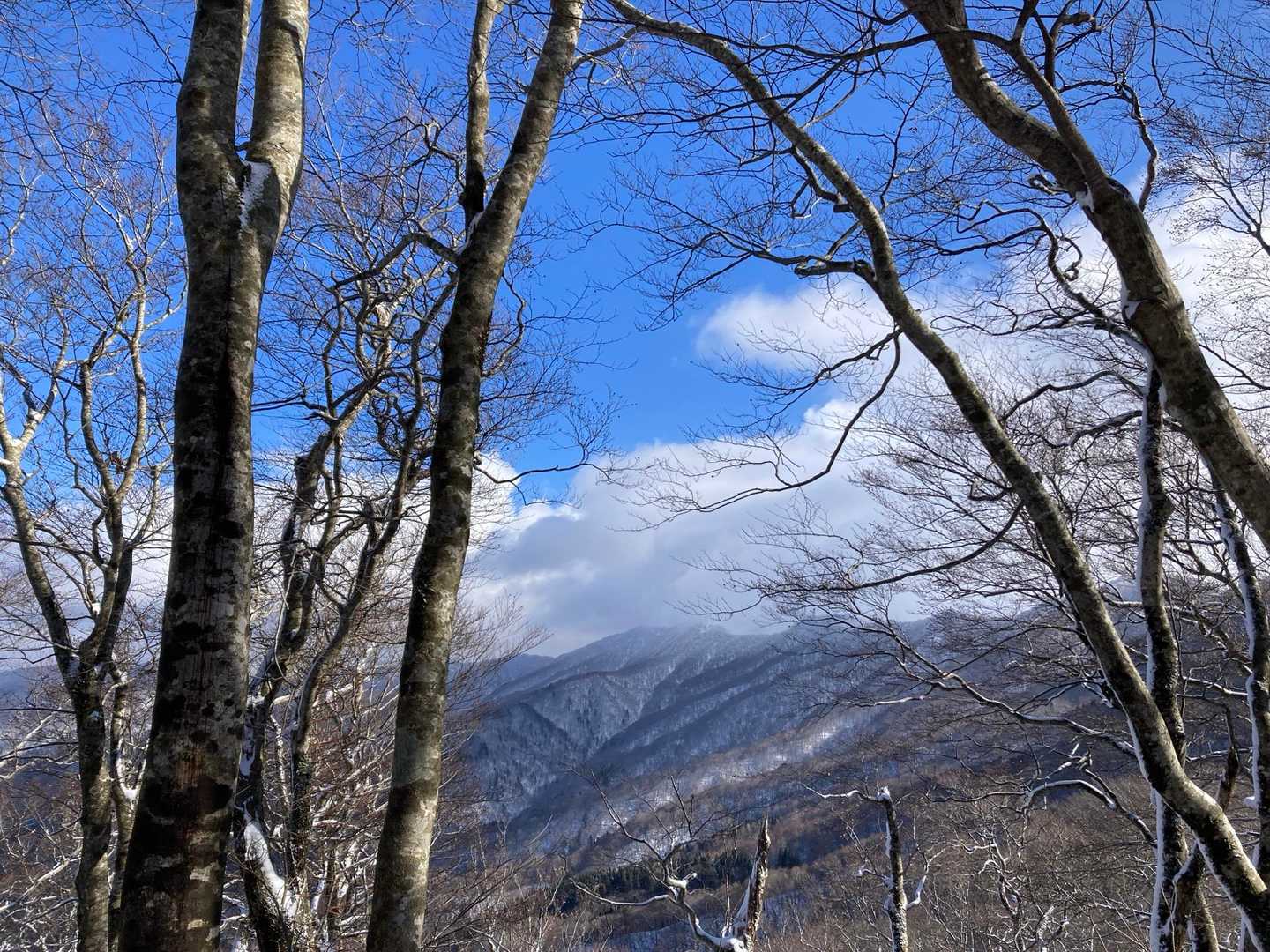 前岳-中岳 往復コースの写真