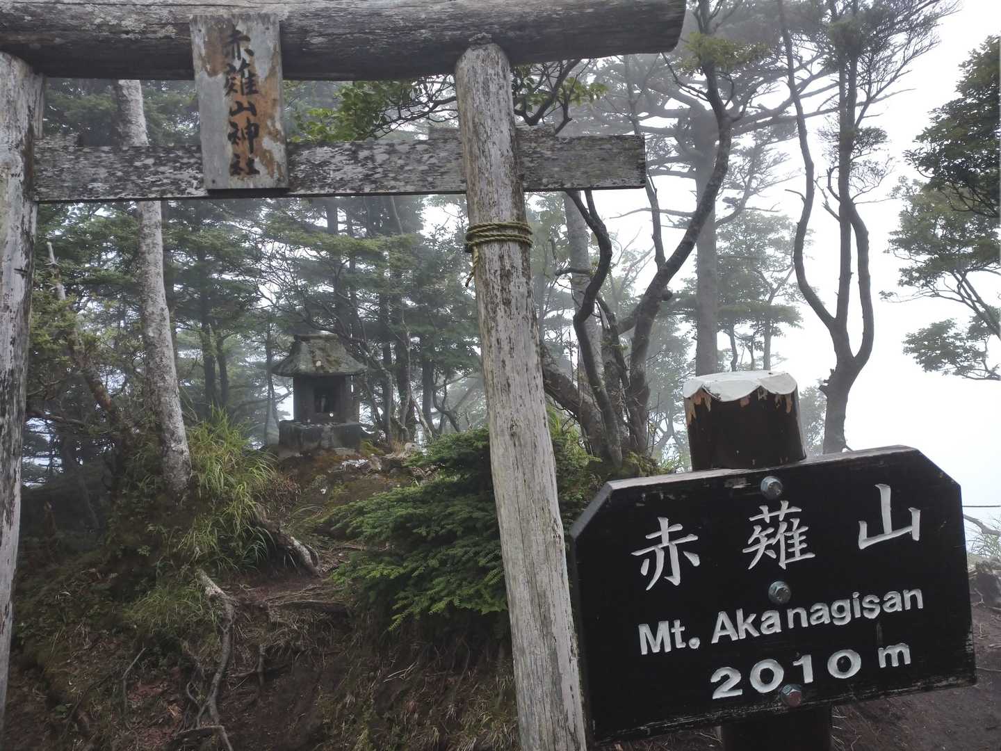 子供ら途中くじけそうになりながらも何とか到着！