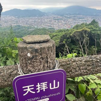 2座め到着
伐採されてからは初めて