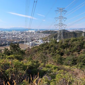 鉄塔ある所に眺望ありです。