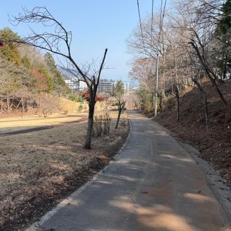 登山口に着いて駅までロード歩き
6時間以内に着くかなー？言いながら
小走りしていたらペース300%なんて
初めて見ました🤣笑