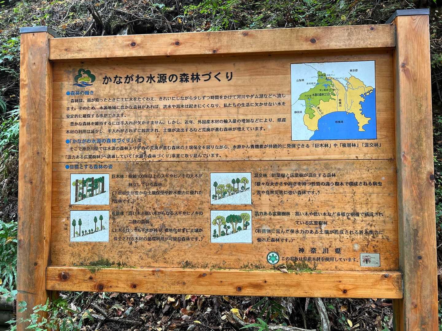 水源の森林づくり　大丈夫だね