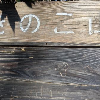 足尾神社から
ここまではほとんどロード歩き