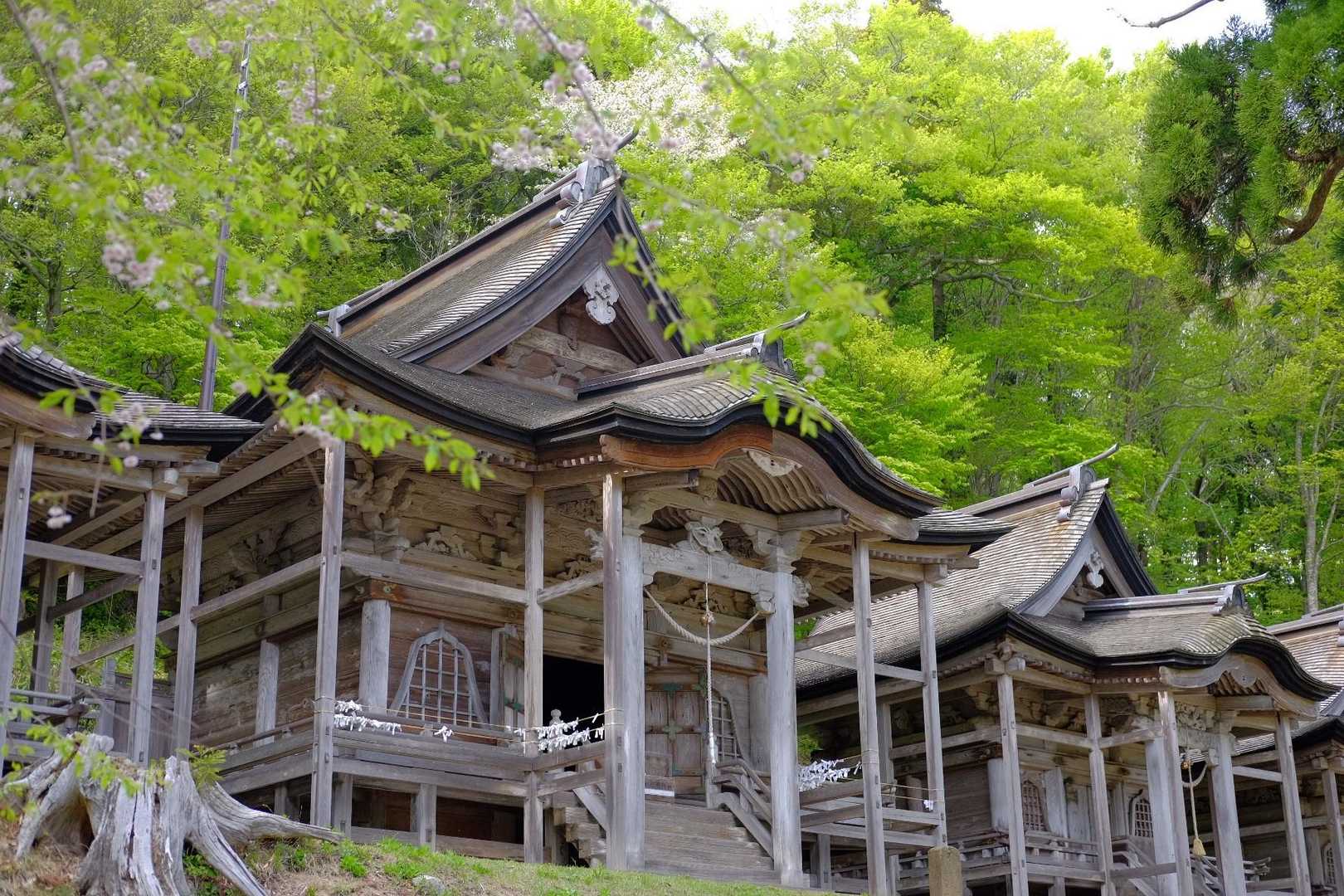 お山かけコース登山道入口-赤神神社 五社堂-本山 往復コースの写真