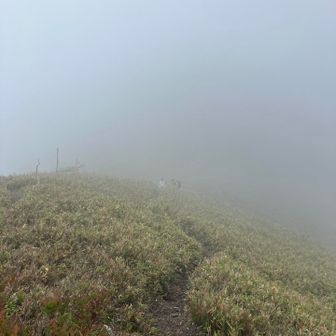 次は南雨乞岳目指します。
雨が降ってきました☂️